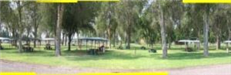 Picnic Tables in County Park